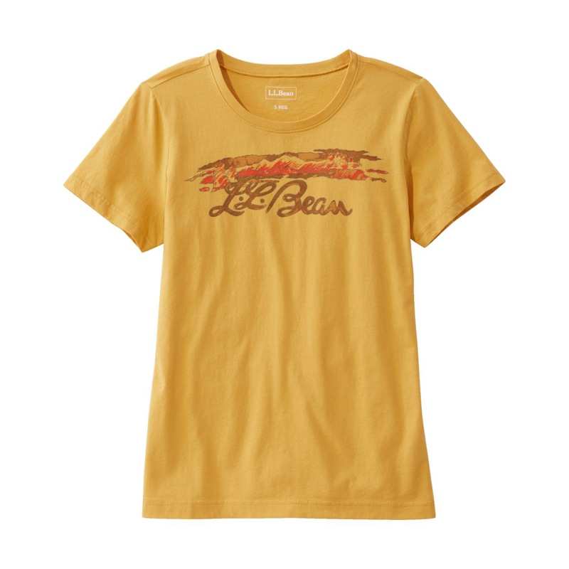 米国フィット・レギュラー ウォッシュ・コットン・ティ、半袖 クルーネック グラフィック